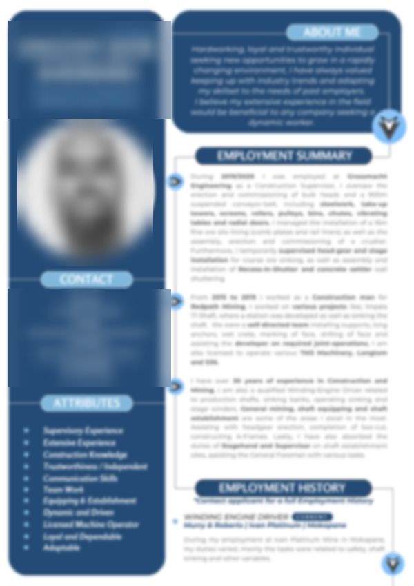 Modern & bold CV design by Creative Junkie, personal details hidden